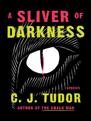 cover image of A Sliver of Darkness